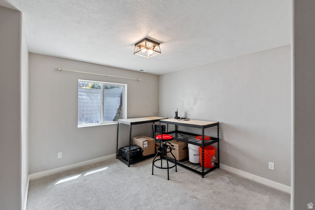 444 South Saddle Road Grantsville, UT 84029 - Photo 21 of 33 Office featuring light carpet and a textured ceiling