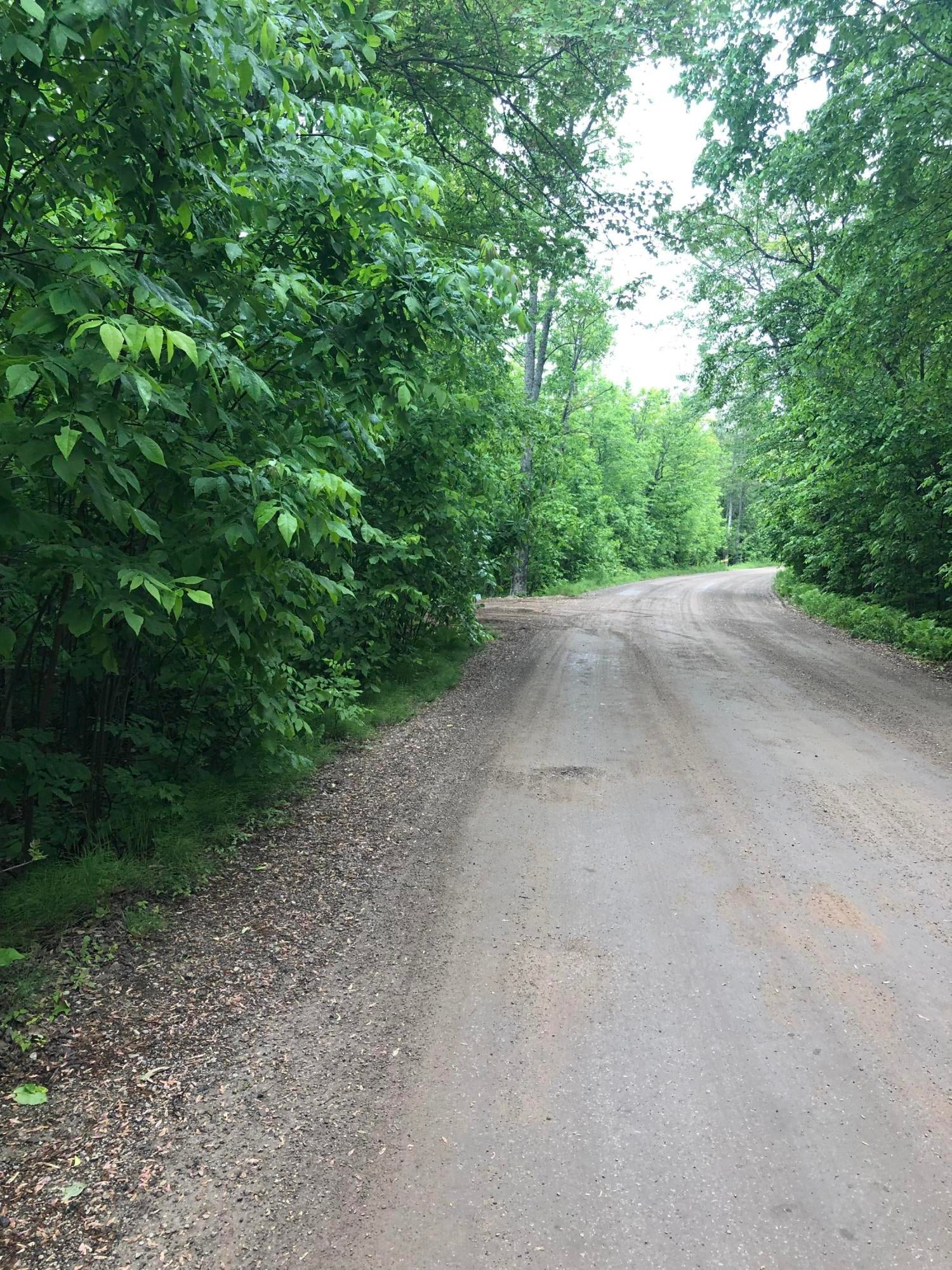 Long Point Road Germfask, MI 49836 - Photo 8 of 19 Gallery Image 8
