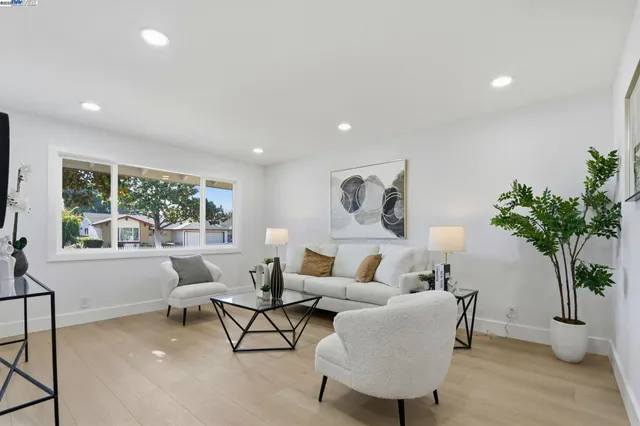 a living room with furniture and a potted plant