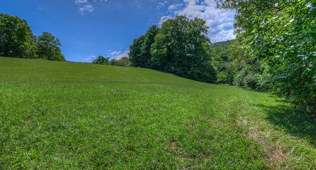 0 Crowe Road Murphy, NC 28906 - Photo 27 of 51 a view of a lush green space