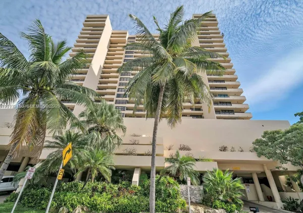 a view of a palm tree with a palm tree