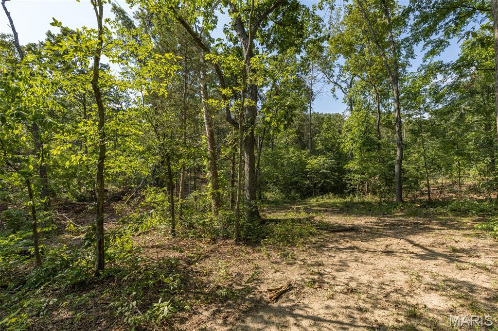 10179 Vine Road Cadet, MO 63630 - Photo 51 of 63 Gallery Image 51