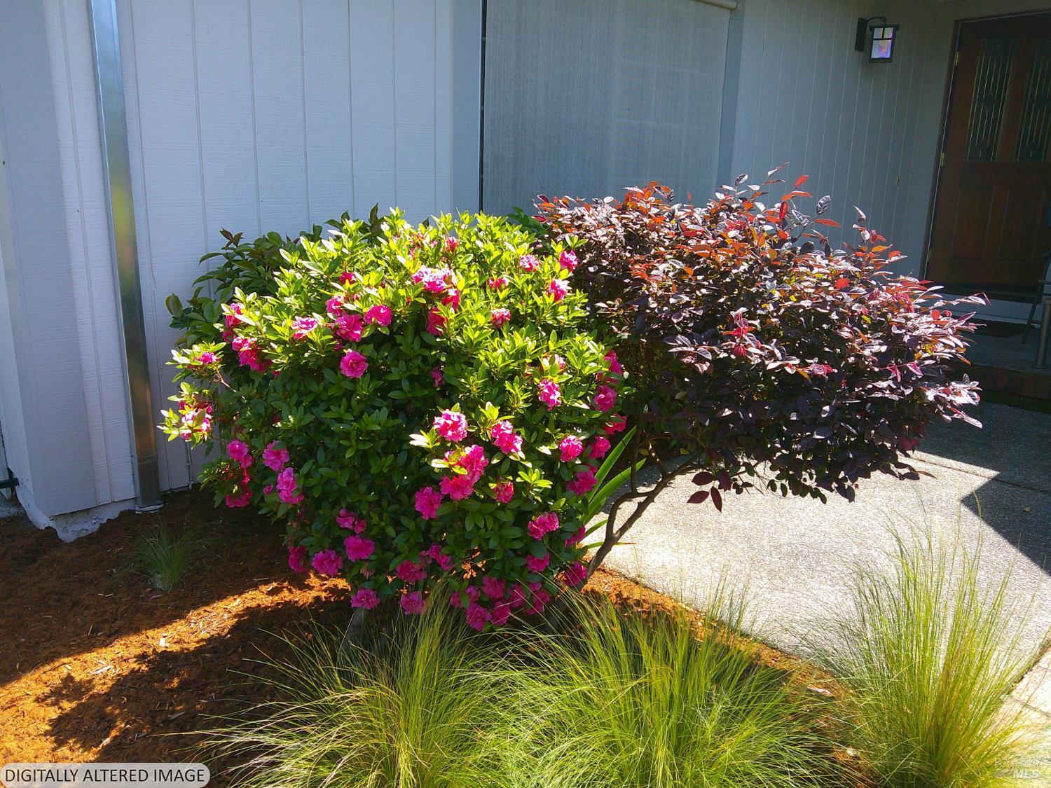 445 Crestridge Place Santa Rosa, CA 95409 - Photo 47 of 48