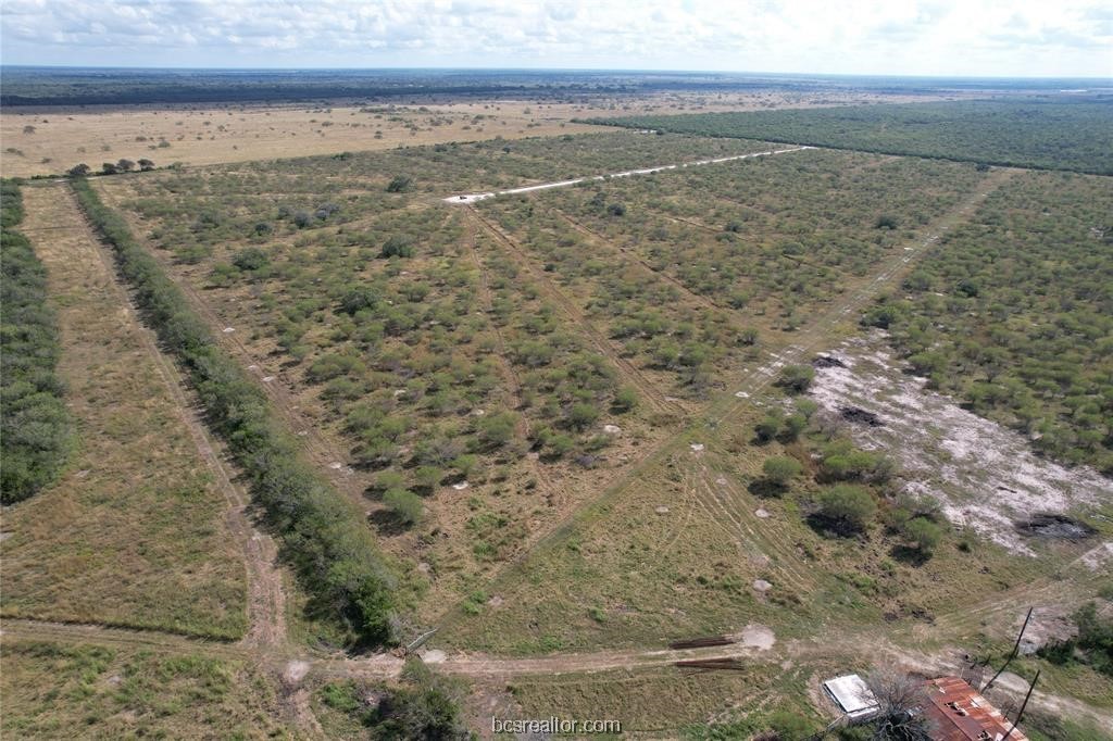 161 Cornerstone Ranch Beeville, TX 78102 - Photo 11 of 24 Attractive and INVITING LAND suitable for so many