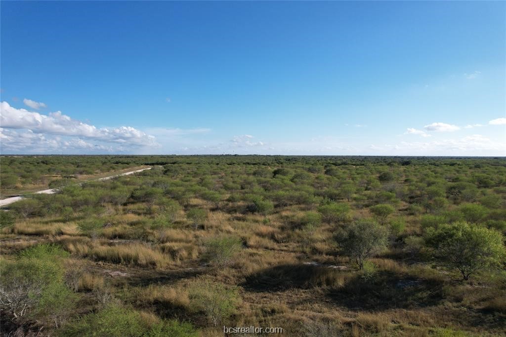 161 Cornerstone Ranch Beeville, TX 78102 - Photo 13 of 24 BLUE SKIES AND SUNSHINE!