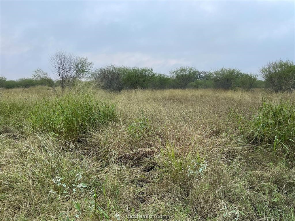 161 Cornerstone Ranch Beeville, TX 78102 - Photo 17 of 24 Open and natural VIEWS