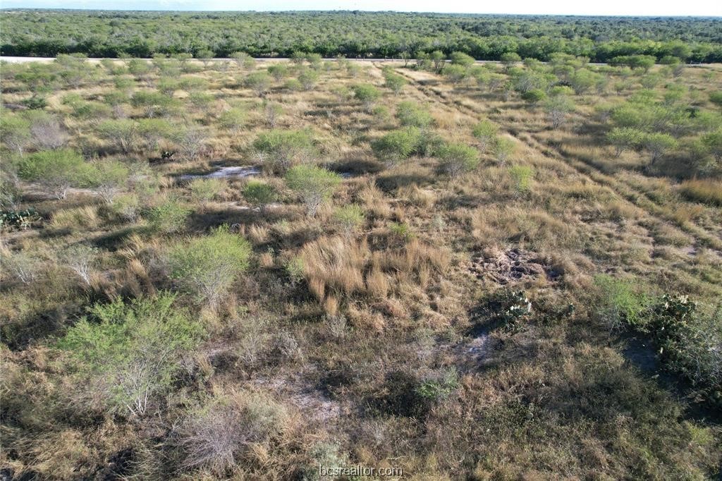 161 Cornerstone Ranch Beeville, TX 78102 - Photo 2 of 24 Texas countryside living at it’s finest!