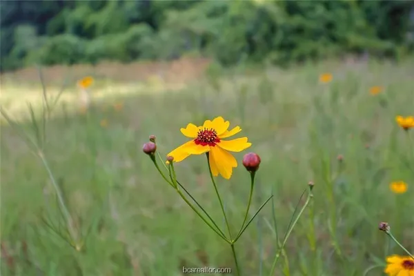 $107,000 | 161 Cornerstone Ranch, Beeville, TX 78102