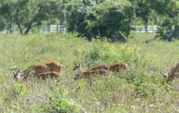 $107,000 | 161 Cornerstone Ranch, Beeville, TX 78102
