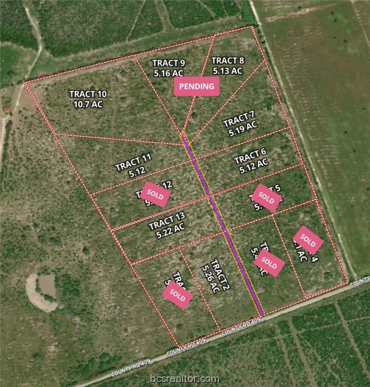 161 Cornerstone Ranch Beeville, TX 78102 - Photo 3 of 24 Attractive and INVITING LAND suitable for so many