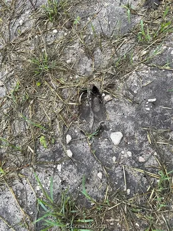 $107,000 | 161 Cornerstone Ranch, Beeville, TX 78102