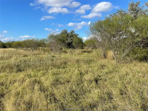 $107,000 | 161 Cornerstone Ranch, Beeville, TX 78102