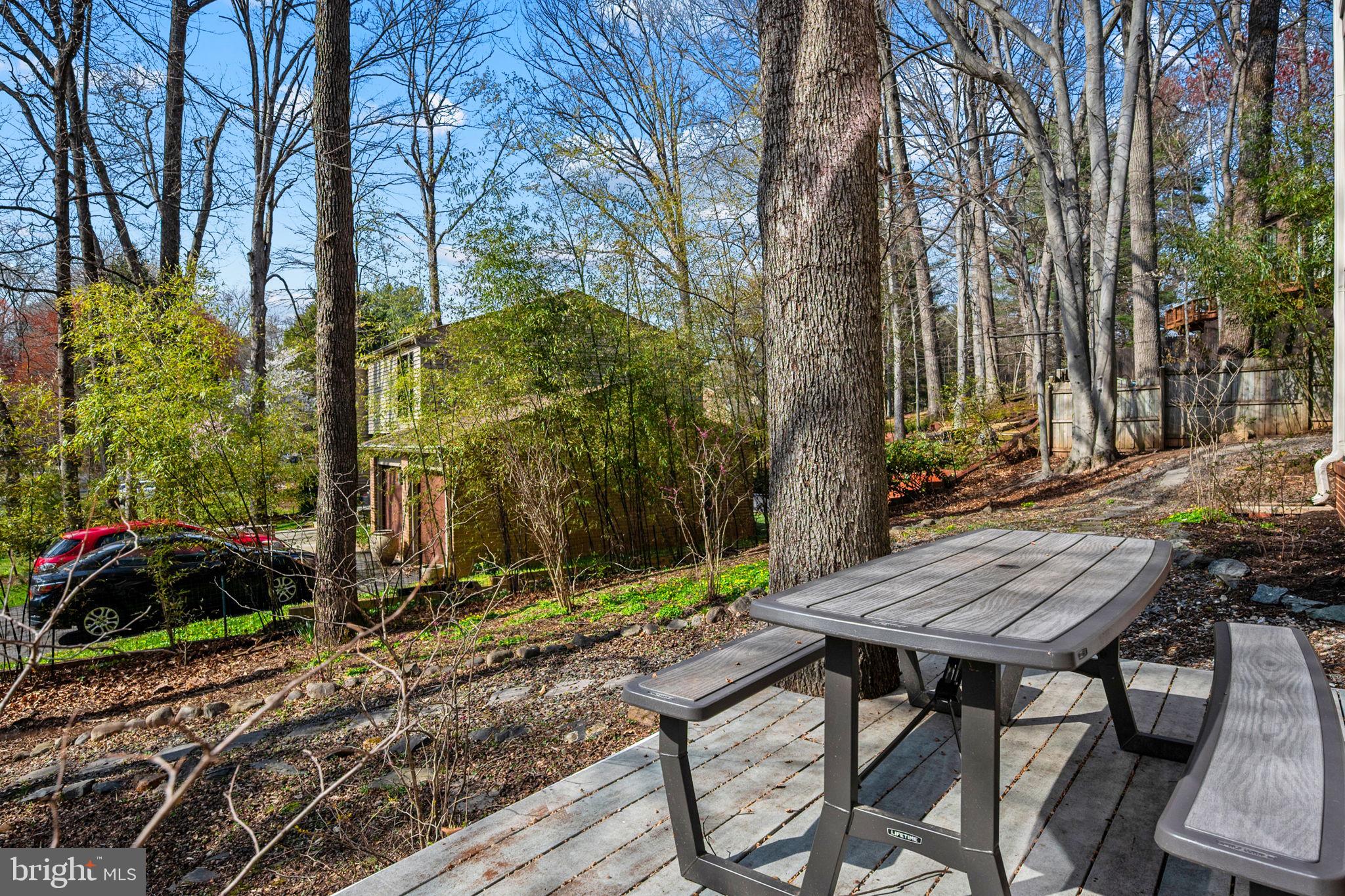 10600 Vantage Court Potomac, MD 20854 - Photo 72 of 91 a view of backyard with table and chairs and potted plants