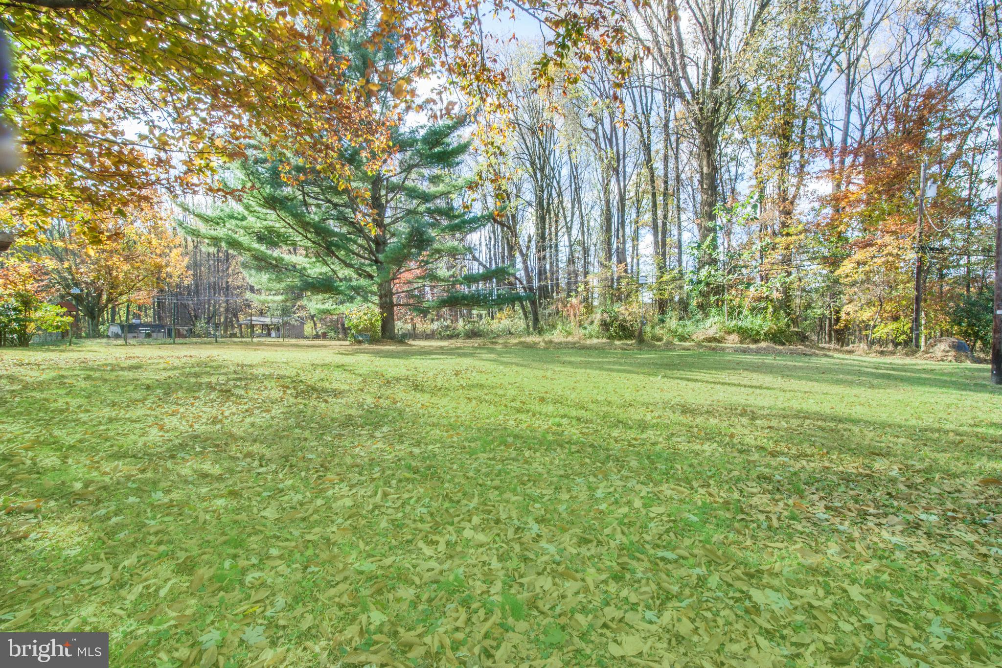 818 Petem Road Kingsville, MD 21087 - Photo 23 of 30 Yard Rear View