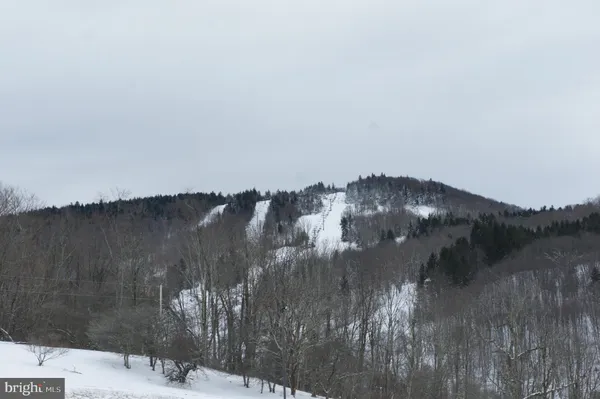 $80,000 | Lot 14 Cessna Lane, Davis, WV 26260
