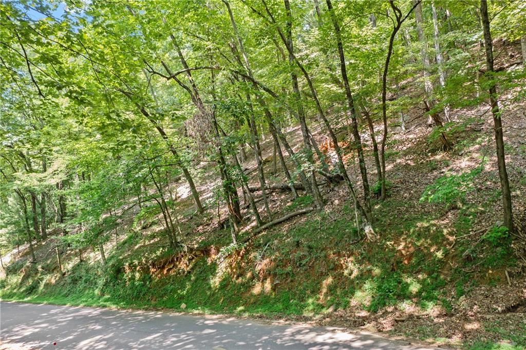 37 Petit Ridge Drive Big Canoe, GA 30143 - Photo 5 of 28