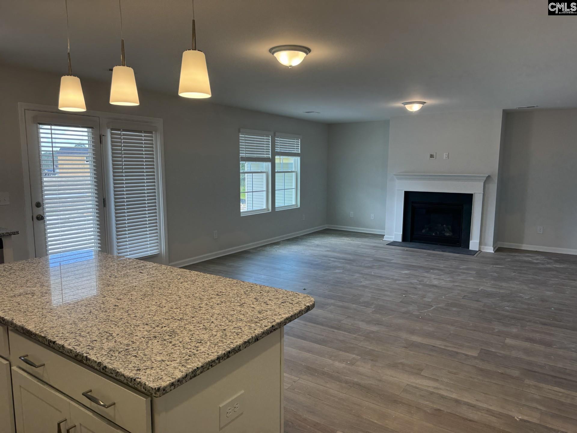 6013 Edgemont Drive Elgin, SC 29045 - Photo 3 of 24