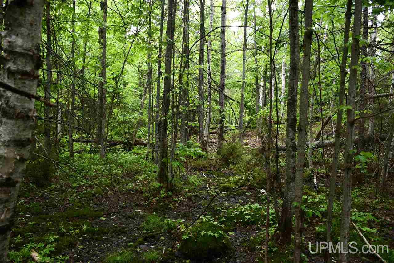 Tbd Mud Lake Road Lake Linden, MI 49945 - Photo 19 of 28