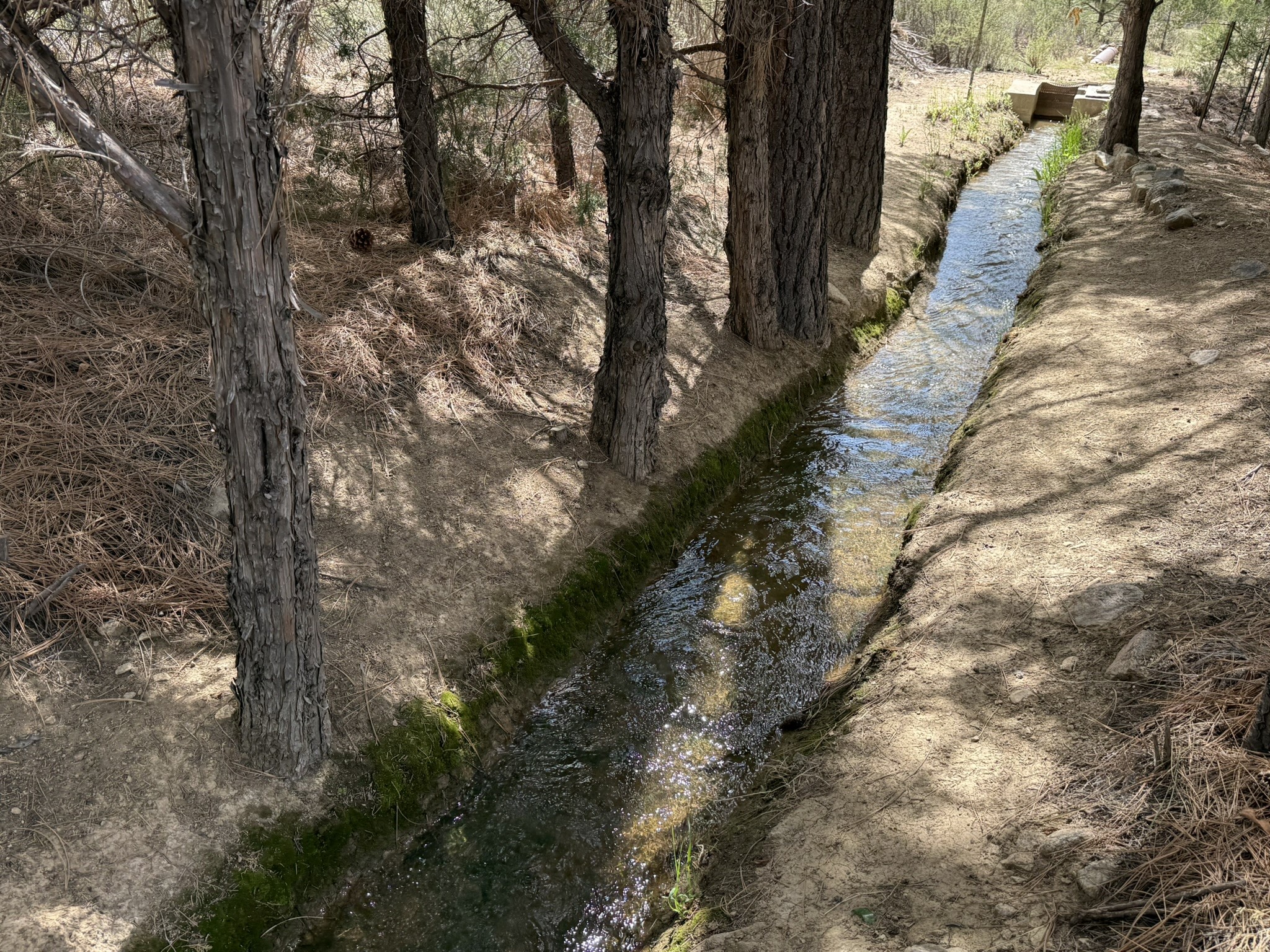 2318 Old Red River Road Questa, NM 87556 - Photo 8 of 36