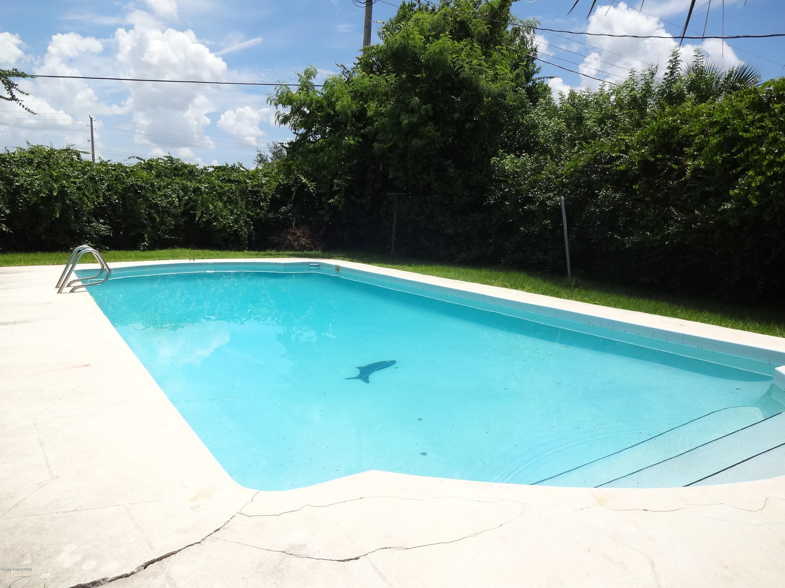 2127 Lucille Lane Melbourne, FL 32935 - Photo 13 of 14 DSC06093