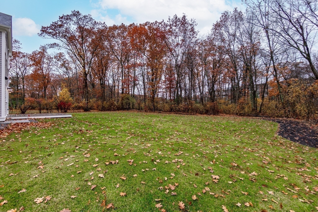 157 Mill Street Natick, MA 01760 - Photo 35 of 42