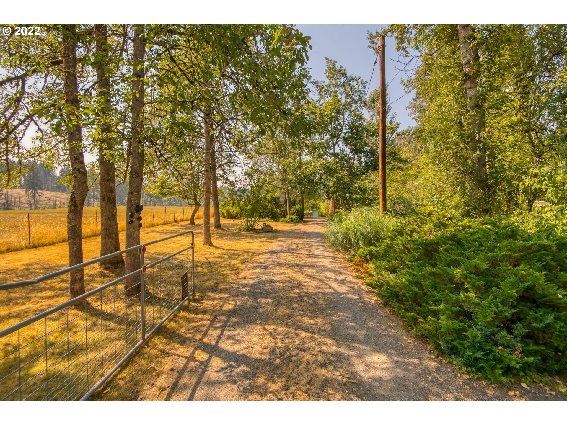 17353 South Potter Road Oregon City, OR 97045 - Photo 2 of 32 Driveway