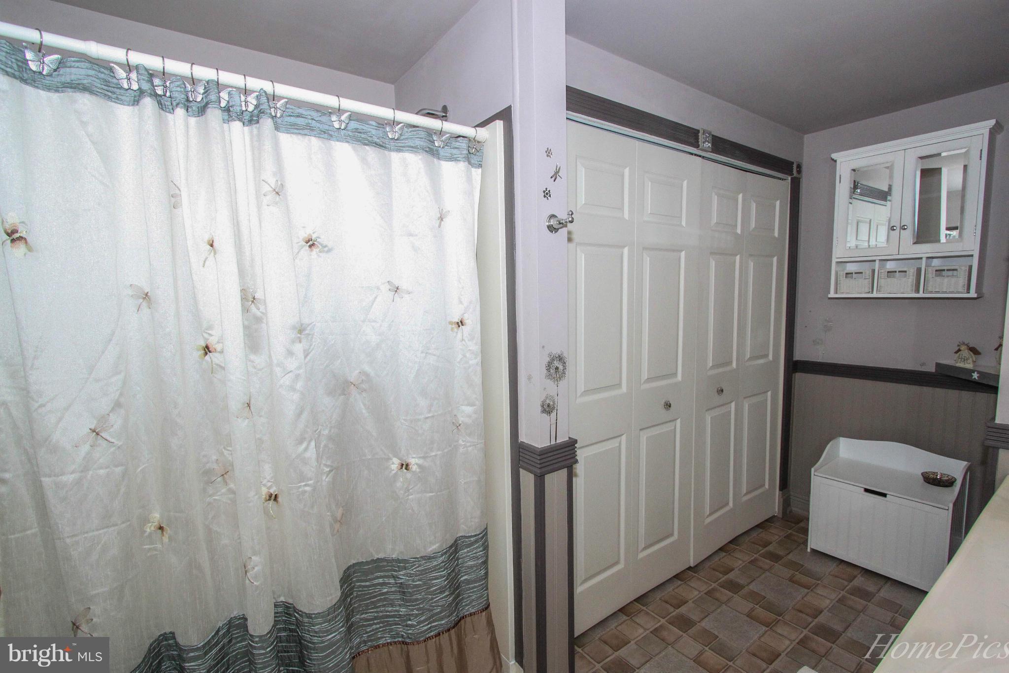 7520 Mountain Laurel Road Boonsboro, MD 21713 - Photo 20 of 30 Bath (Master)