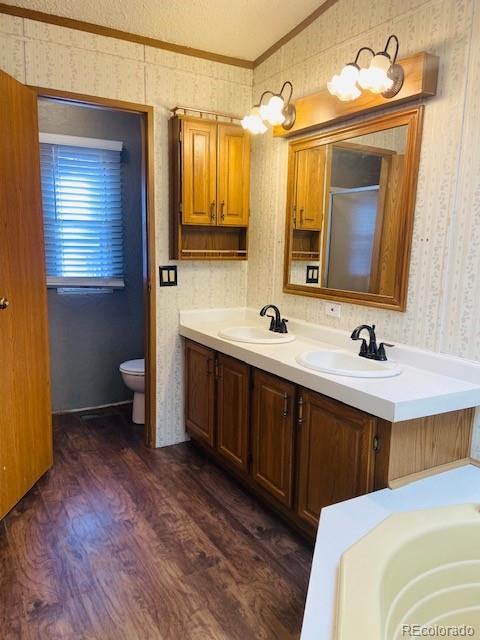 54 Windy Gap Loop Empire, CO 80438 - Photo 25 of 48 a bathroom with a double vanity sink a mirror and a toilet
