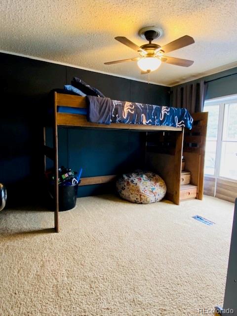 54 Windy Gap Loop Empire, CO 80438 - Photo 28 of 48 a view of an empty room