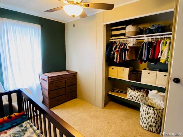 54 Windy Gap Loop Empire, CO 80438 - Photo 35 of 48 a view of walk in closet with clothes and shoes