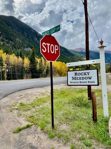 a view of road with large trees