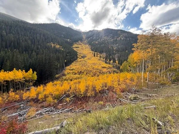 $90,000 | 54 Windy Gap Loop, Empire, CO 80438