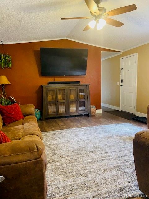 54 Windy Gap Loop Empire, CO 80438 - Photo 10 of 48 a living room with a couch and a ceiling fan