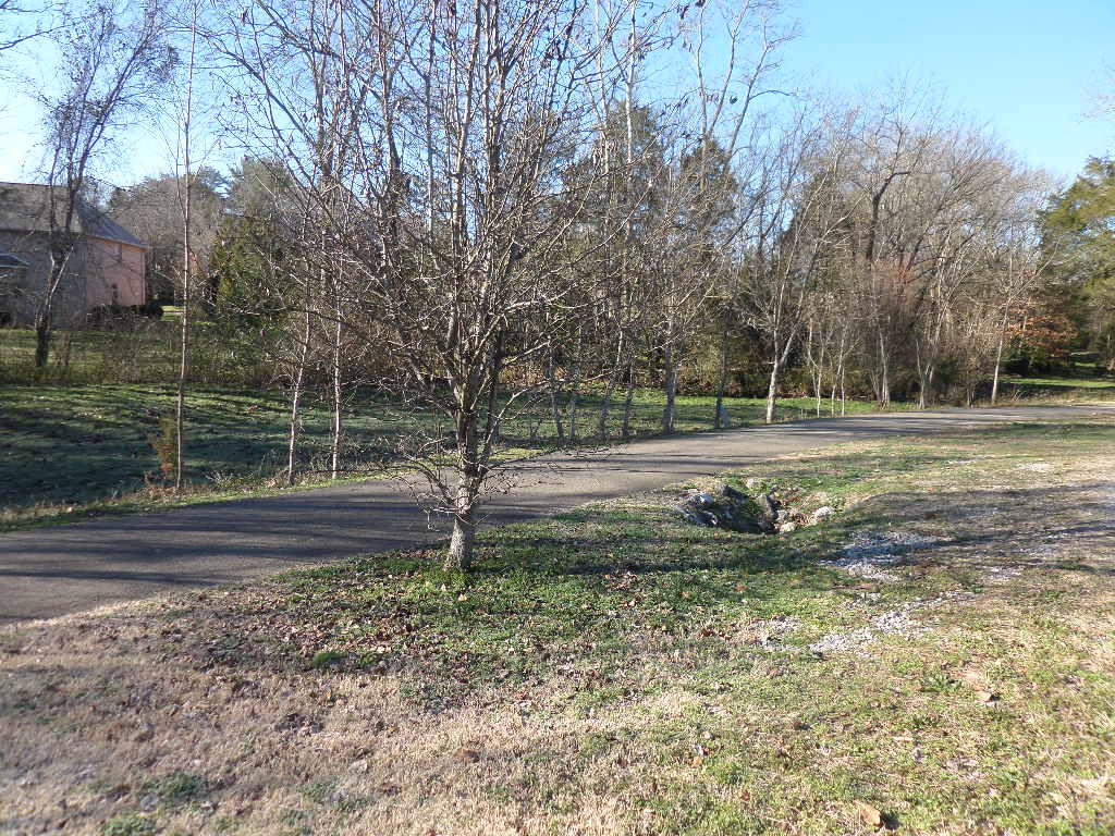 103 Cascade Lane Oak Ridge, TN 37830 - Photo 28 of 31 Walking trail