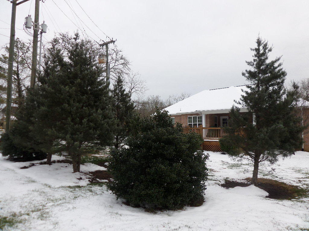 103 Cascade Lane Oak Ridge, TN 37830 - Photo 31 of 31 View from Back
