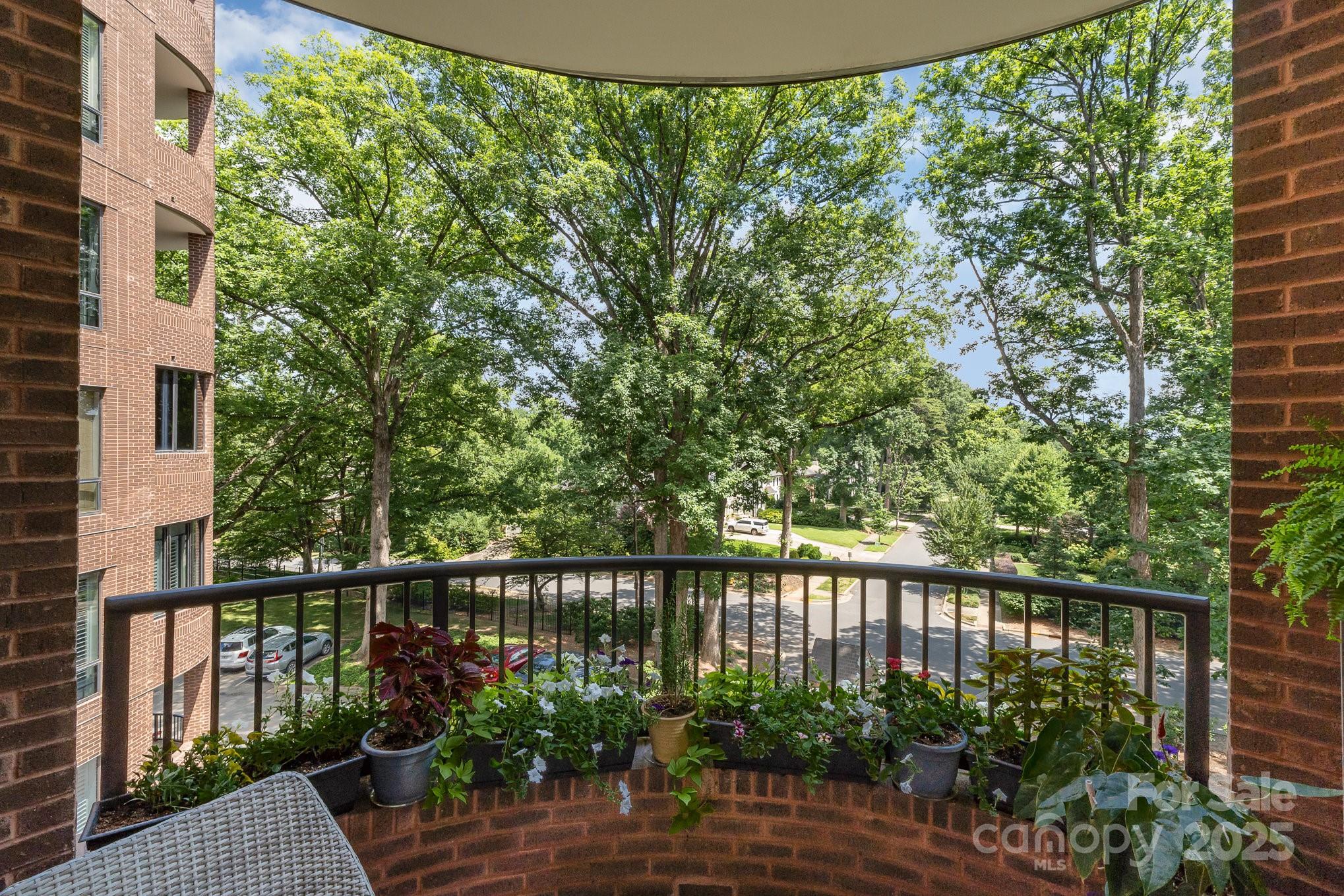 830 Cherokee Road Charlotte, NC 28207 - Photo 21 of 39 Gallery Image 21