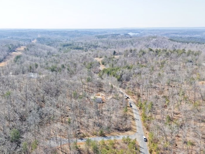 8 Gabriel Way Pickens, SC 29671 - Photo 4 of 12 This elevated view captures the expansive wooded landscape and a quiet road leading through the serene environment.