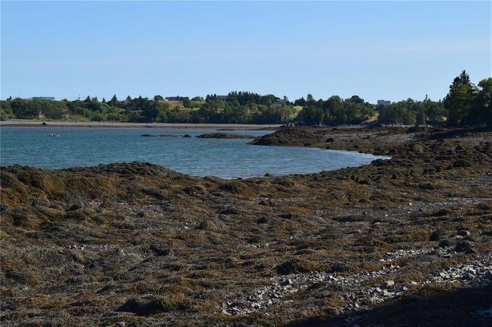 M8-l53a North Lubec Road Lubec, ME 04652 - Photo 9 of 37 9