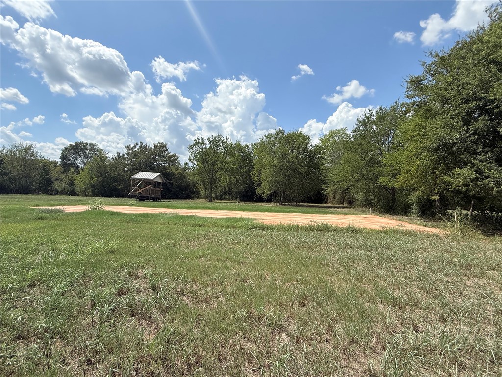 Tbd King Road North Zulch, TX 77872 - Photo 4 of 4 Gallery Image 4