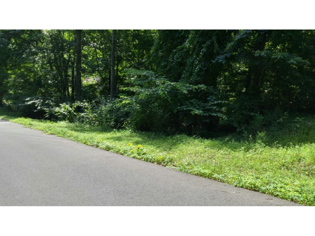 Tbd Sinking Creek Road, Unit 1 Johnson City, TN 37604 - Photo 1 of 1 Photo 1
