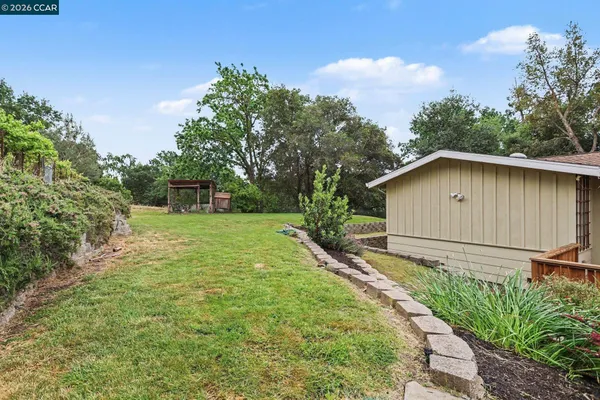 a view of a backyard with potted plants and large tree
