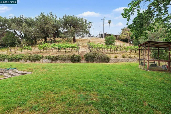 a view of a garden