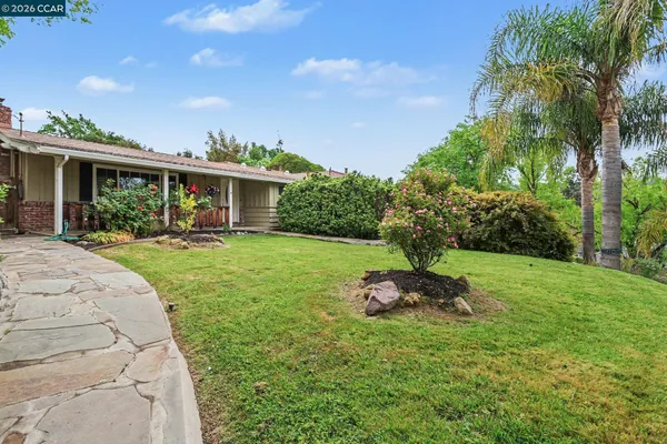 a backyard of a house with table and chairs plants and large tree