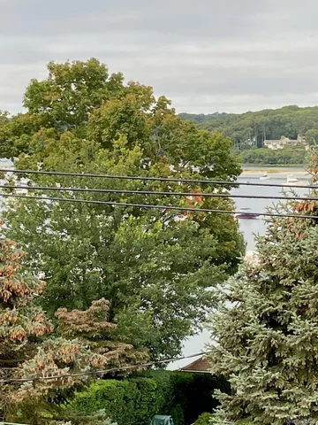 a view of swimming pool with a yard and large tree