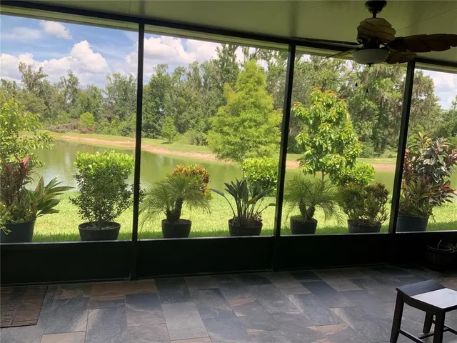 a view of a back yard from a window