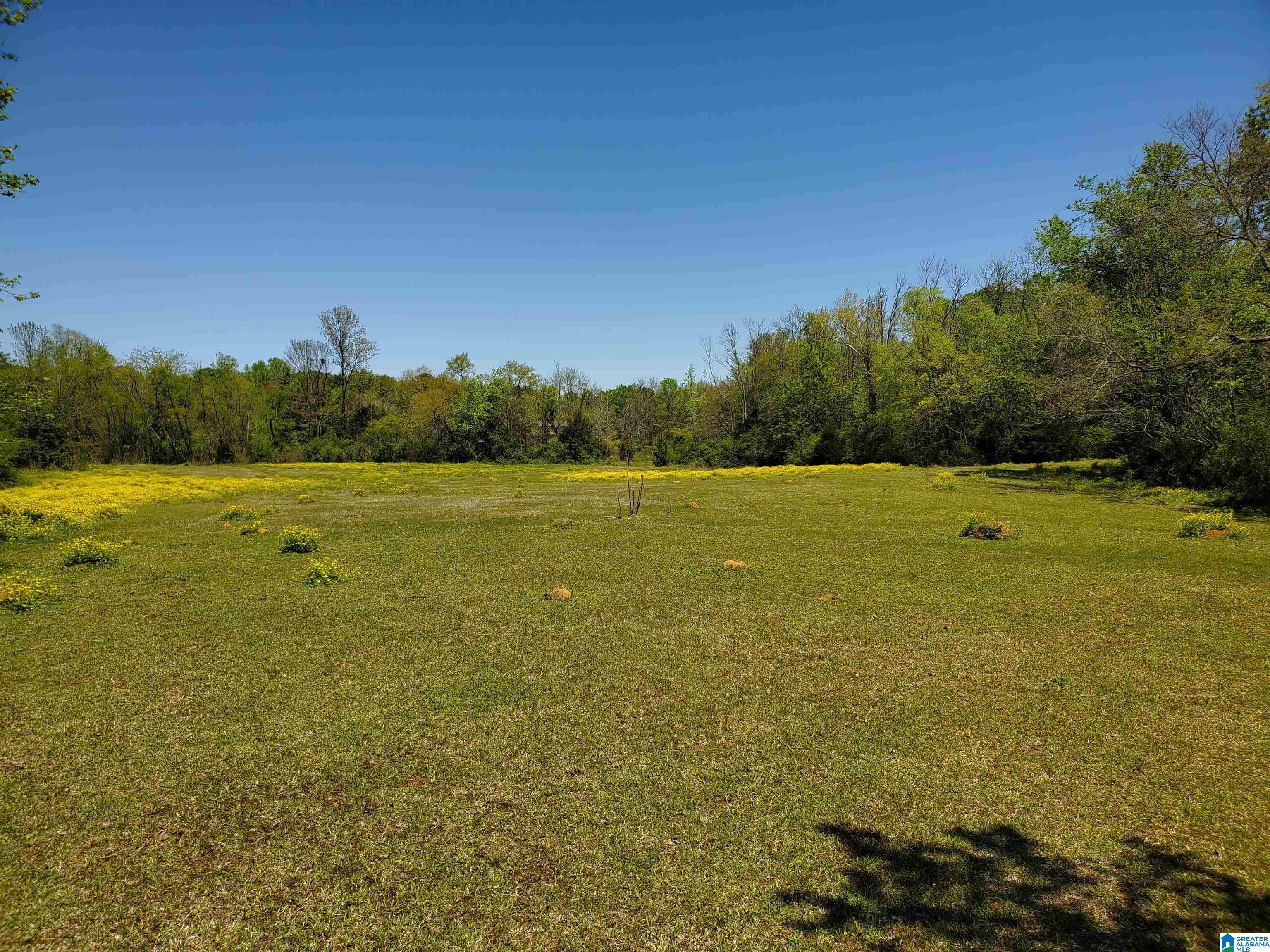 31 County Road Ashville, AL 35953 - Photo 5 of 14