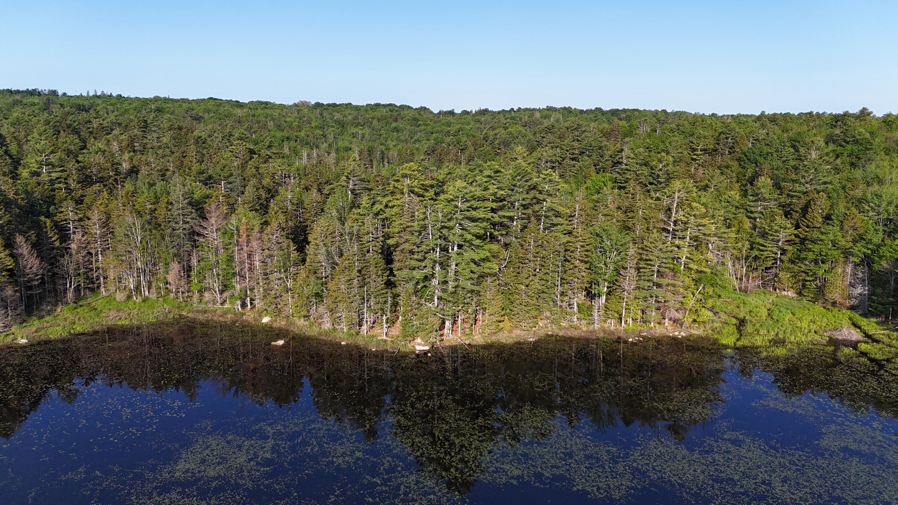 0 Red Spruce Way Mount Mount Desert, ME 04660 - Photo 11 of 18 DJI_20250621070128_0025_D