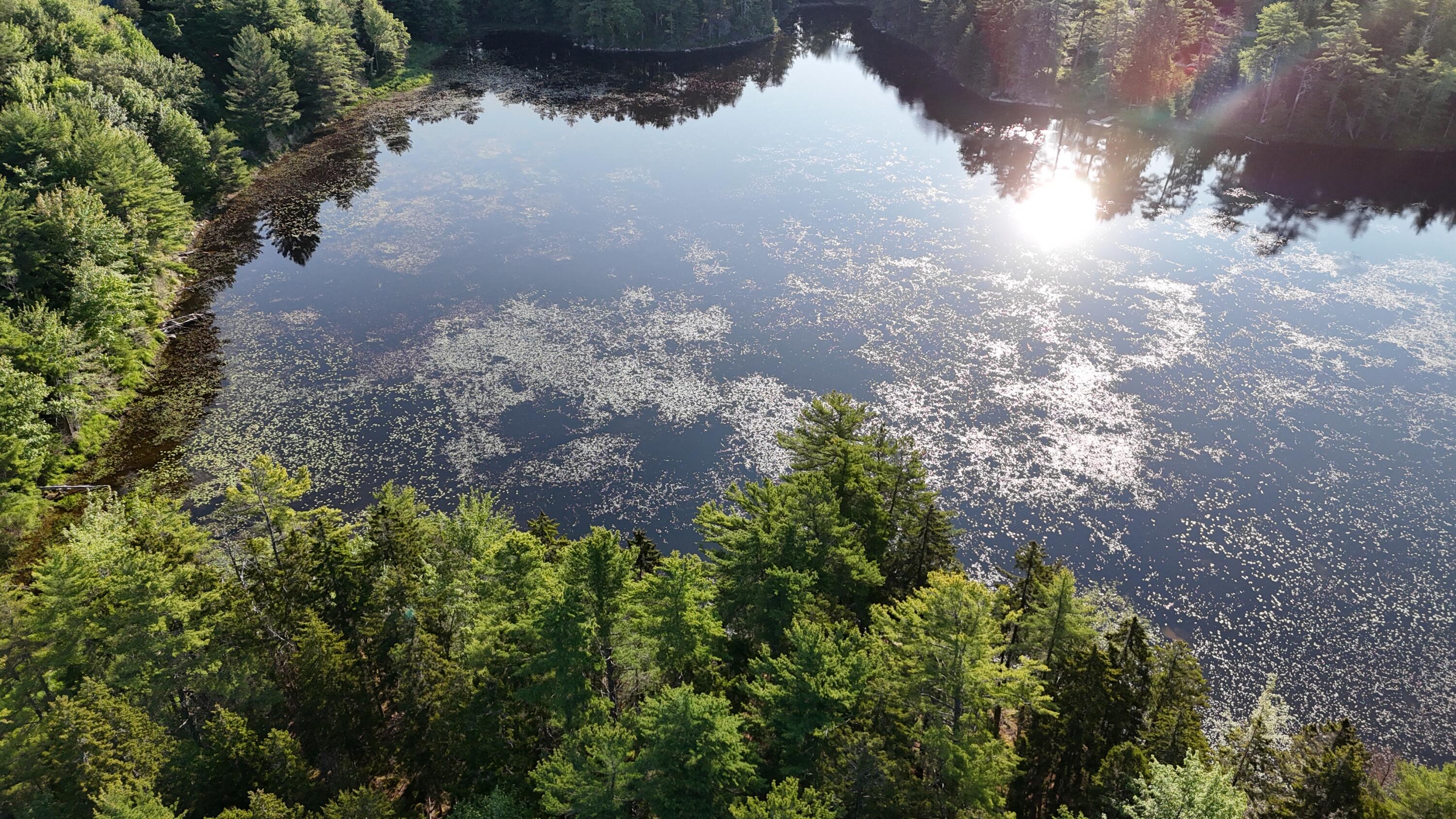 0 Red Spruce Way Mount Mount Desert, ME 04660 - Photo 12 of 18 DJI_20250621070222_0028_D