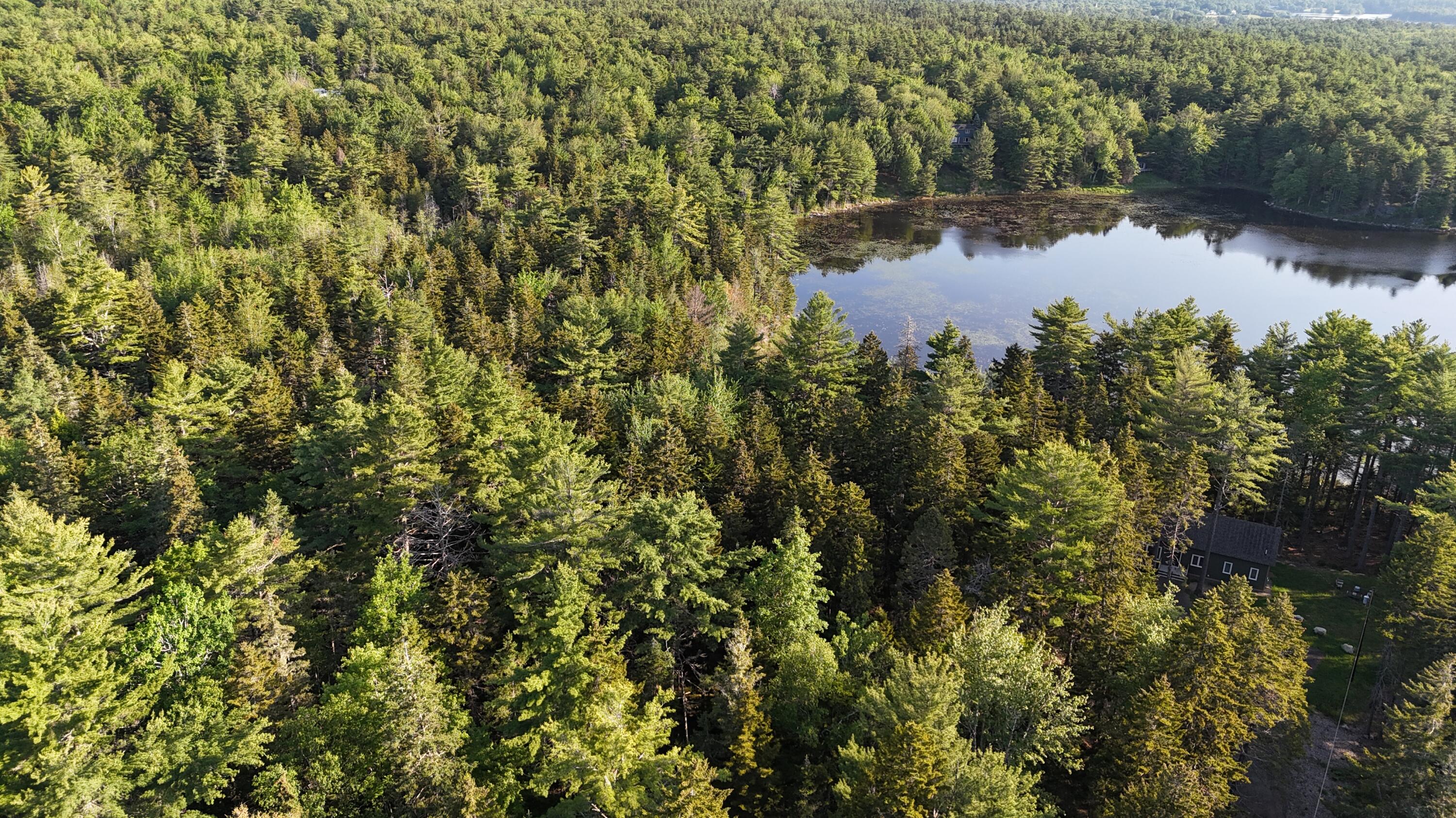 0 Red Spruce Way Mount Mount Desert, ME 04660 - Photo 13 of 18 DJI_20250621070515_0039_D