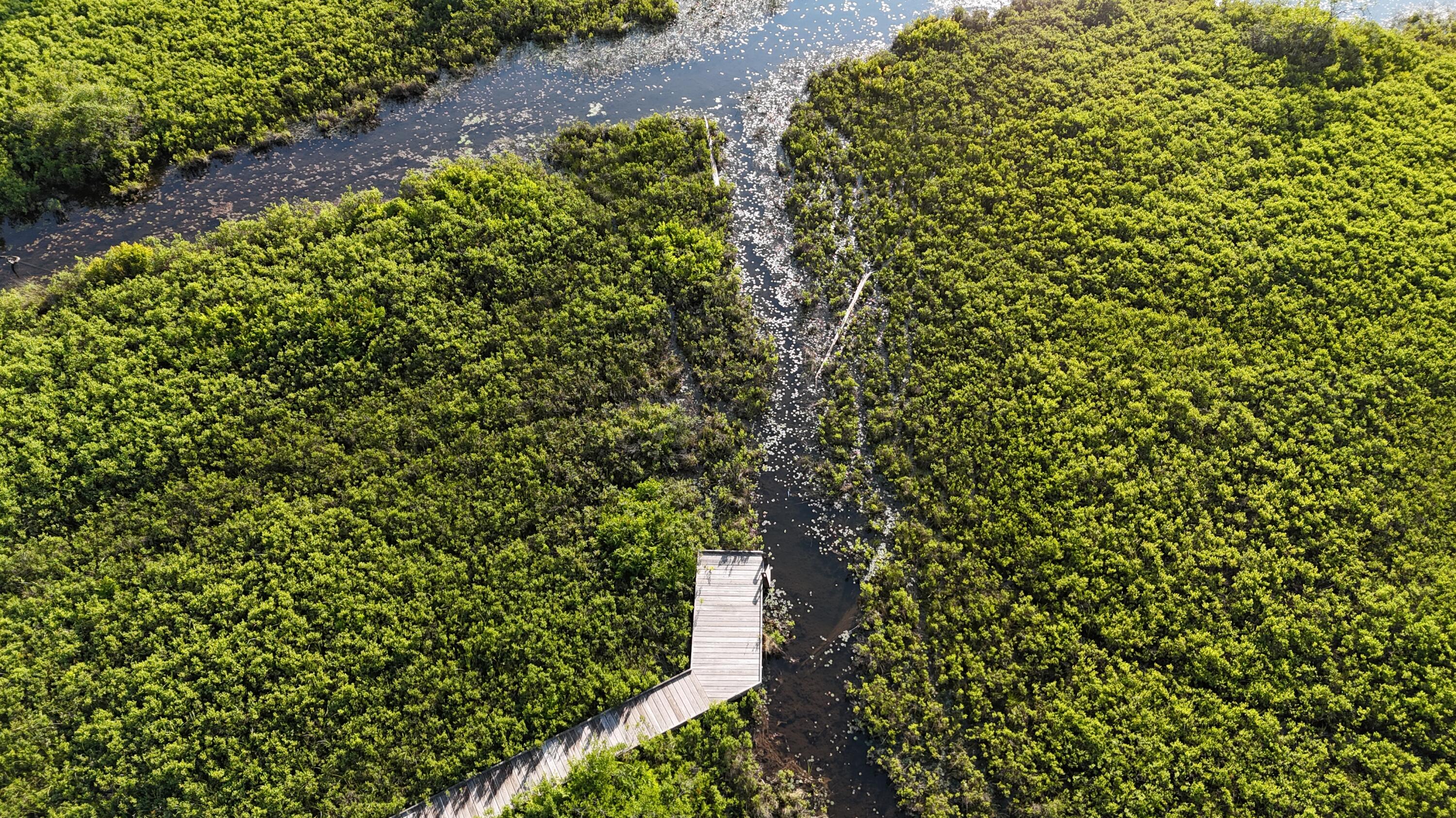 0 Red Spruce Way Mount Mount Desert, ME 04660 - Photo 16 of 18 DJI_20250621065846_0014_D